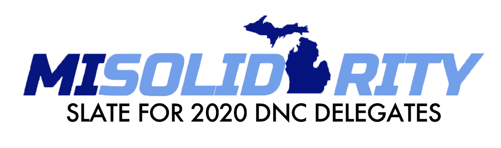 solidarity-slate-dnc MI Solidarity DNC Candidates